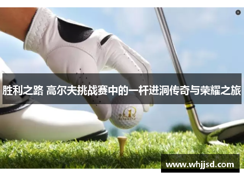 胜利之路 高尔夫挑战赛中的一杆进洞传奇与荣耀之旅