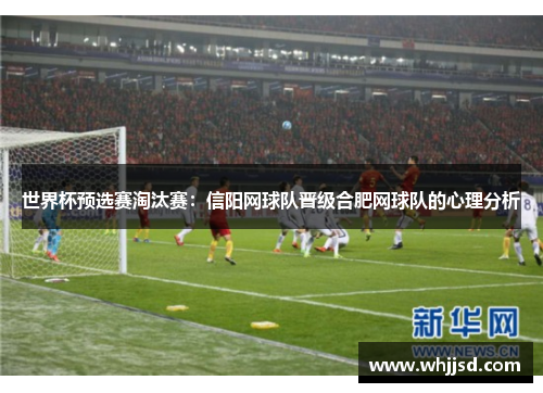 世界杯预选赛淘汰赛：信阳网球队晋级合肥网球队的心理分析
